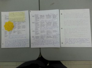 What the spread looked like, minus the sticky notes, which came afterwards.  Apologies for the unclear image!