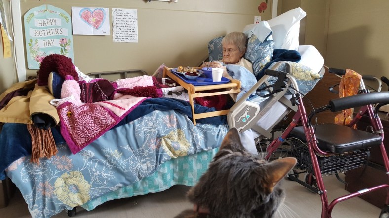 20171203_122059_resized